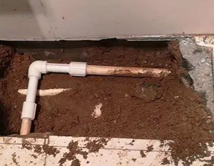 宝鸡测漏水哪家好