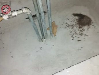 宝鸡卫生间测漏水价格明细