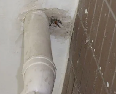 宝鸡漏水检测哪家好